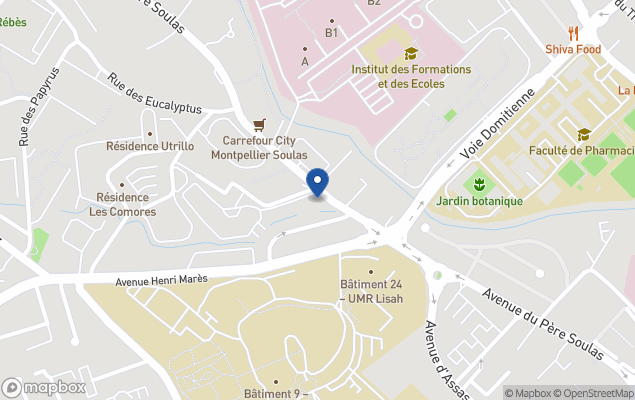 century 21 immo consultant