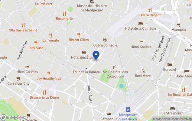 victor hugo immobilier