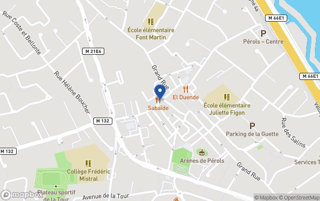 agence sud immobilier