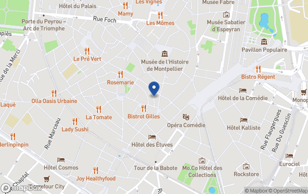 laforet immobilier - mamet immobilier