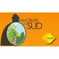 IMMOBILIER DU SUD
